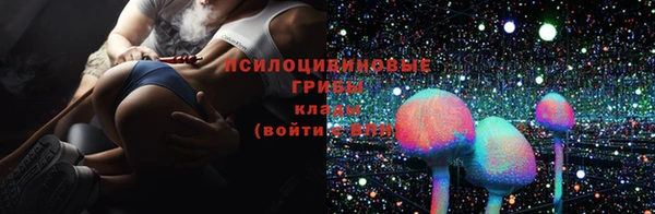 бутират Пересвет