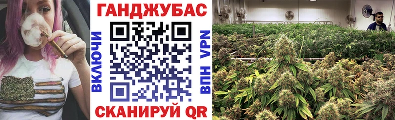 сколько стоит  Сергач  Конопля план 
